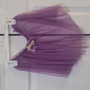 Frozen 2 Anna Purple TuTu with Gold bow  Size 2t
